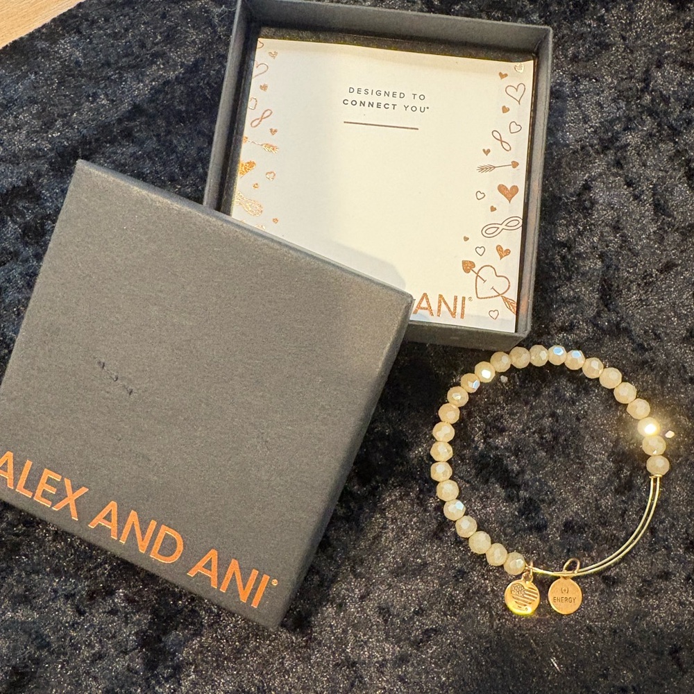 Alex and Ani Gold Accented Jewelry Box